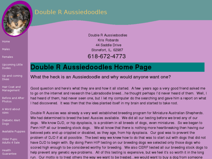 www.doubleraussiedoodles.com