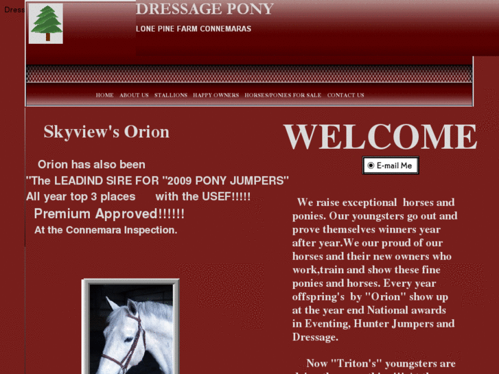 www.dressagepony.com