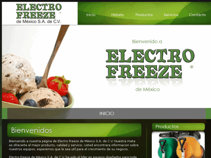 www.electro-freeze.com