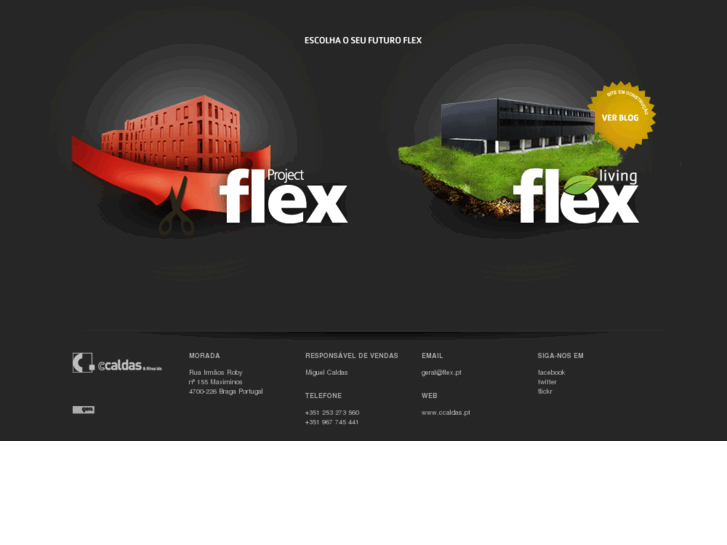 www.flex.pt