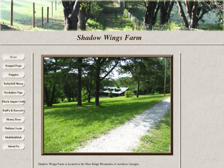 www.shadowwingsfarm.com