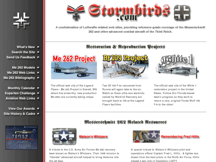 www.stormbirds.com