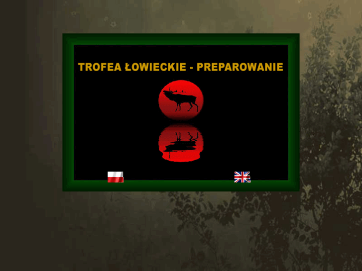 www.trofealowieckie.com