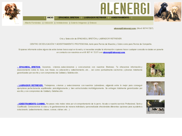 www.alenergi.com