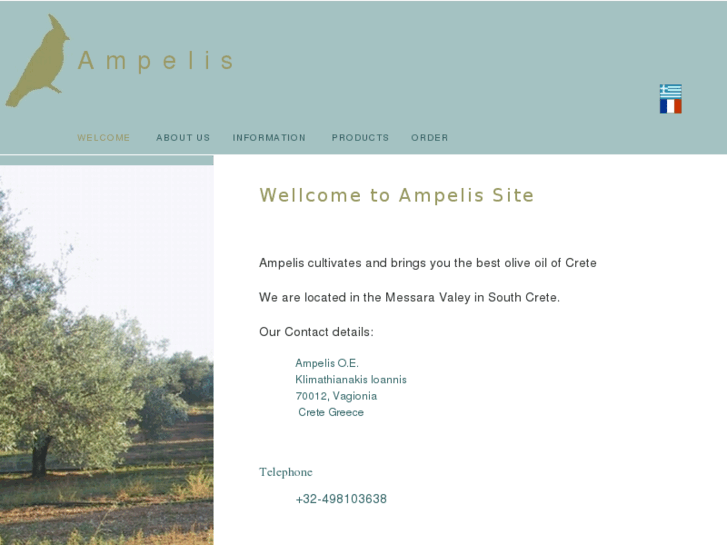 www.ampelis.com