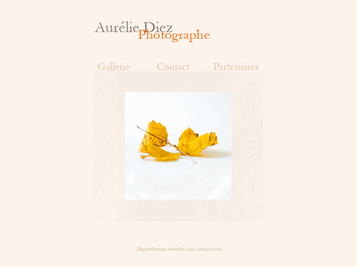 www.aurelie-diez.com