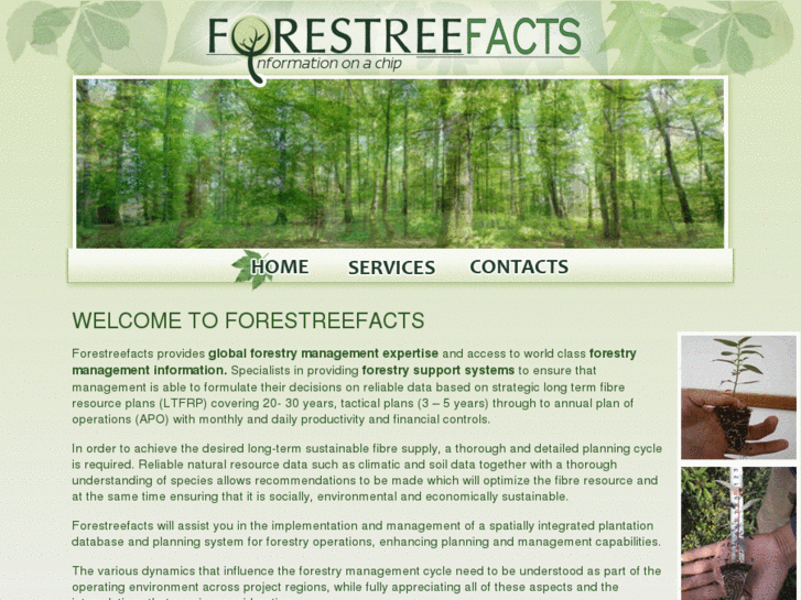 www.forestreefacts.com