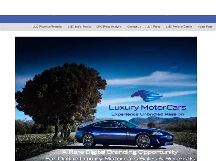 www.luxurymotorcars.com