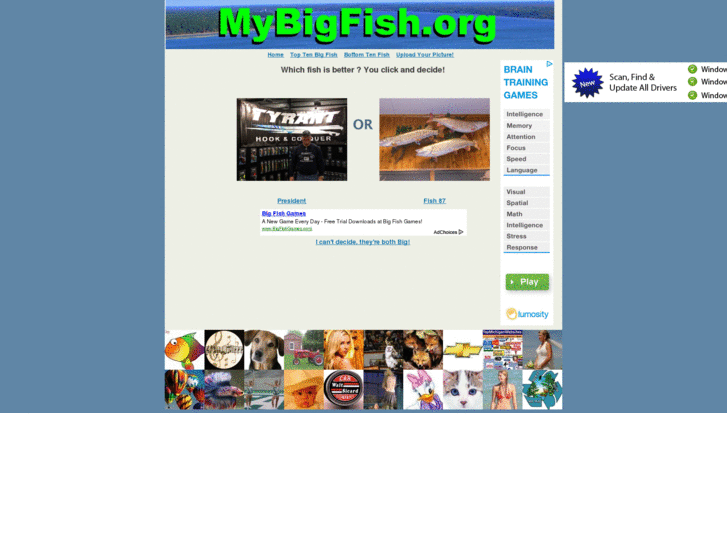 www.mybigfish.org