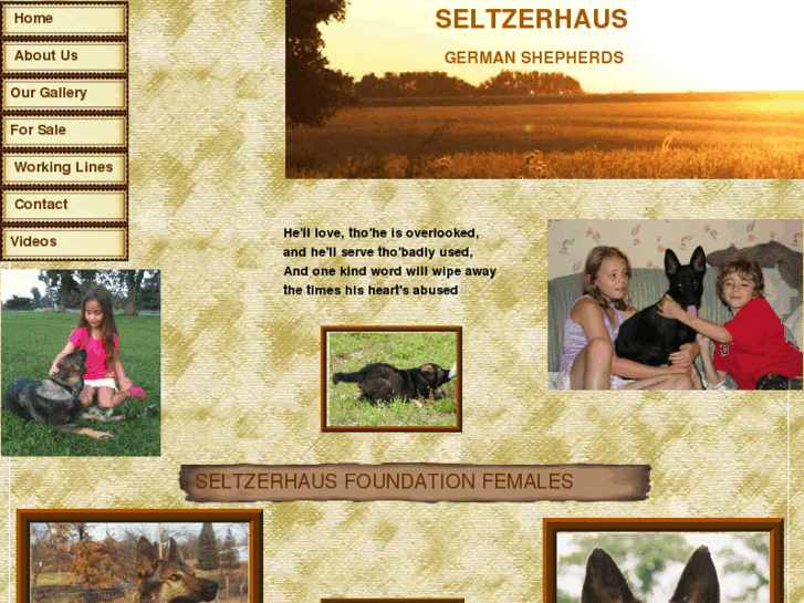 www.seltzerhauskennels.com