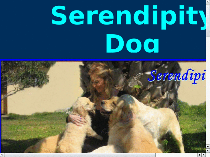 www.serendipitydog.es