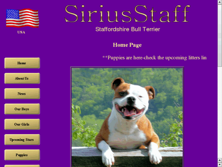 www.siriusstaff.com