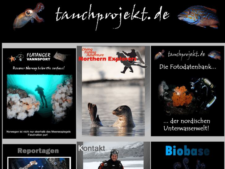 www.tauchprojekt.de