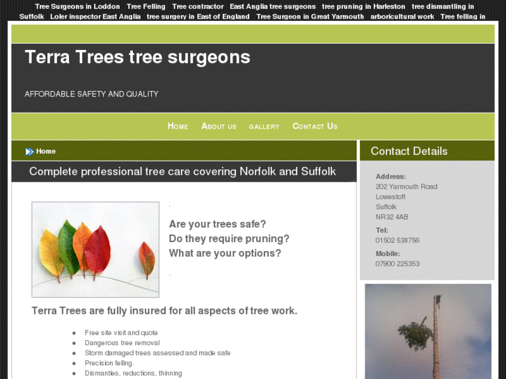 www.treesurgeonsuffolk.com