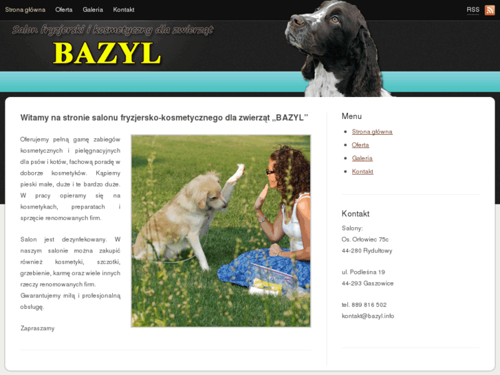 www.bazyl.info