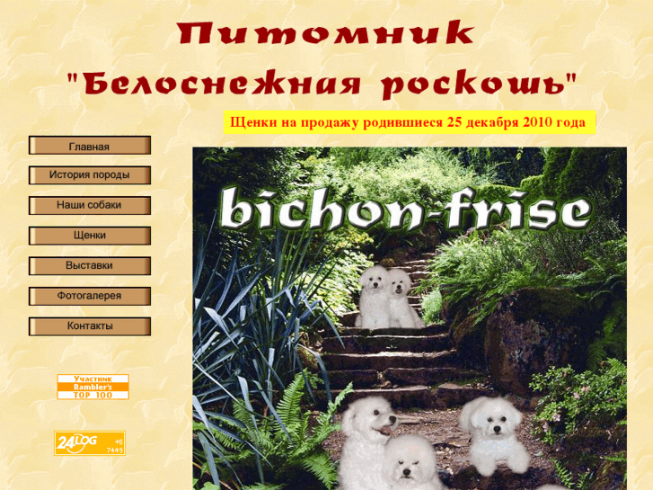 www.bichon-ua.com