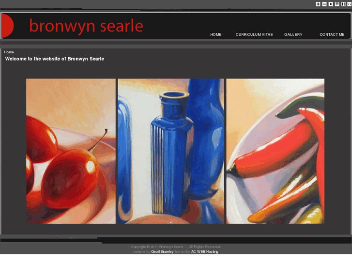 www.bronwynsearle.com