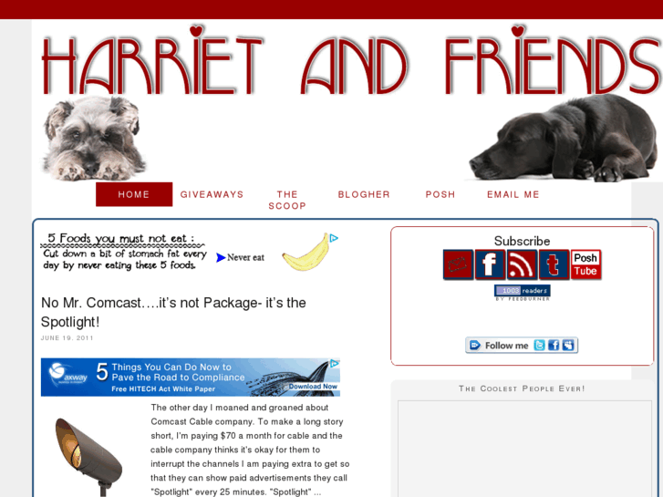 www.harrietandfriends.com