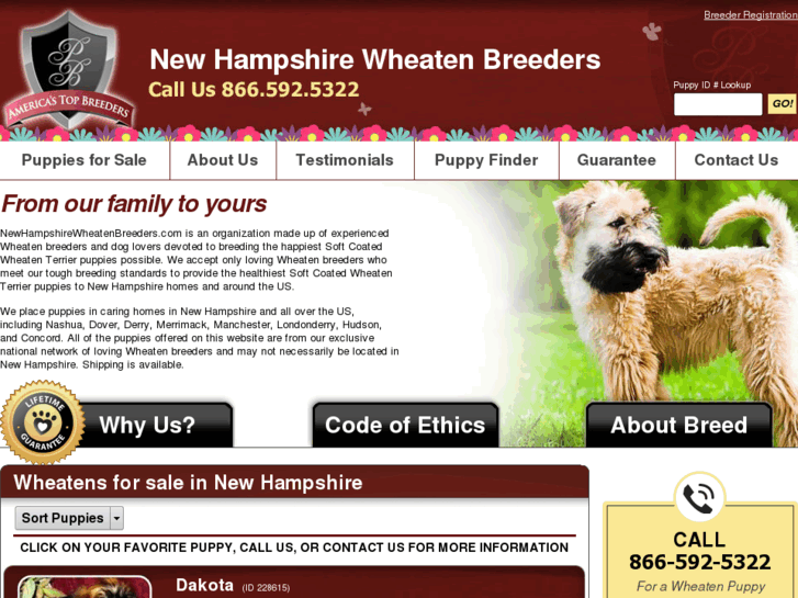 www.newhampshirewheatenbreeders.com