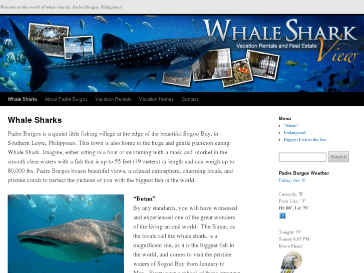 www.whalesharkview.com