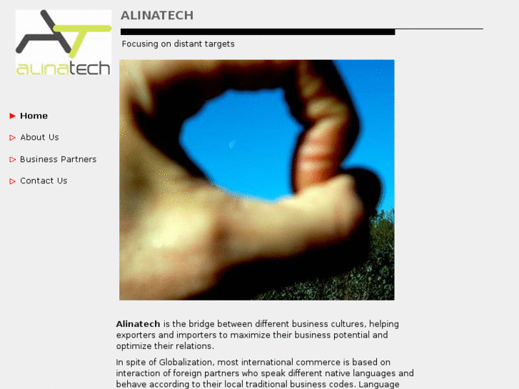 www.alina-tech.com