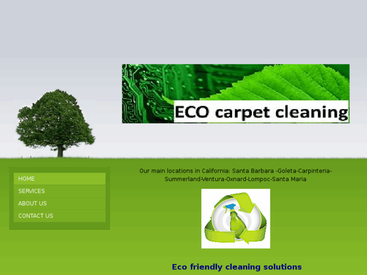 www.ecocarpetcleaning-california.com