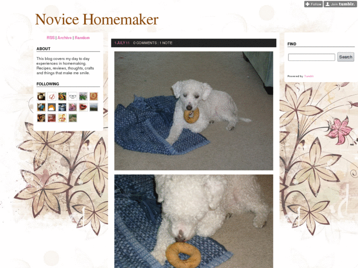 www.novicehomemaker.com