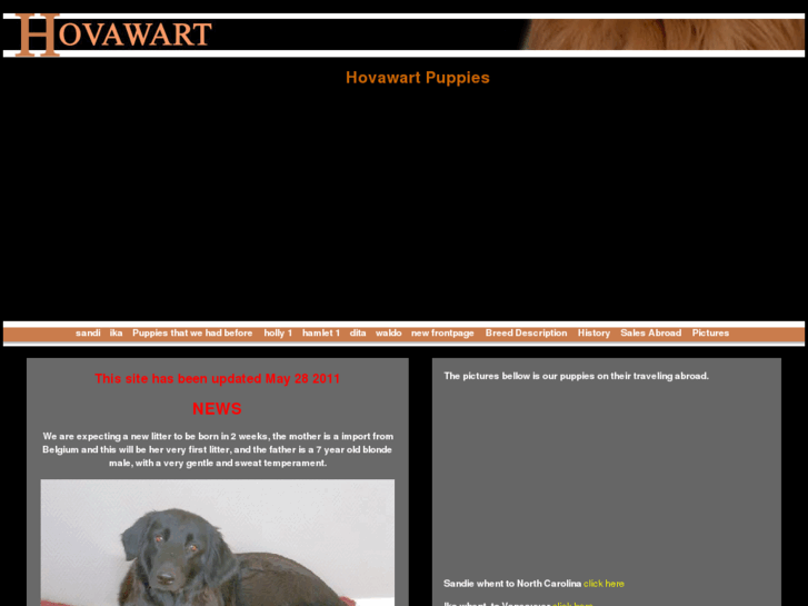 www.hovawart.net