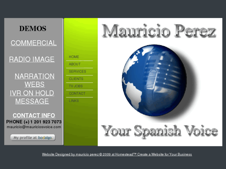 www.mauriciosvoice.com