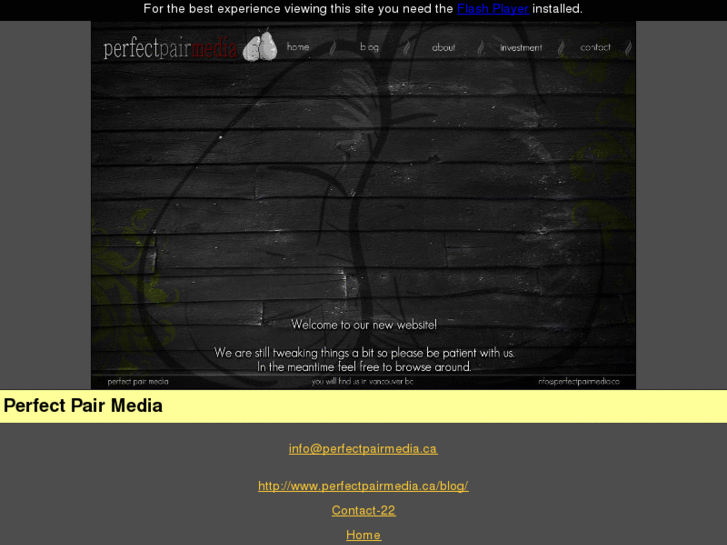 www.perfectpairmedia.ca