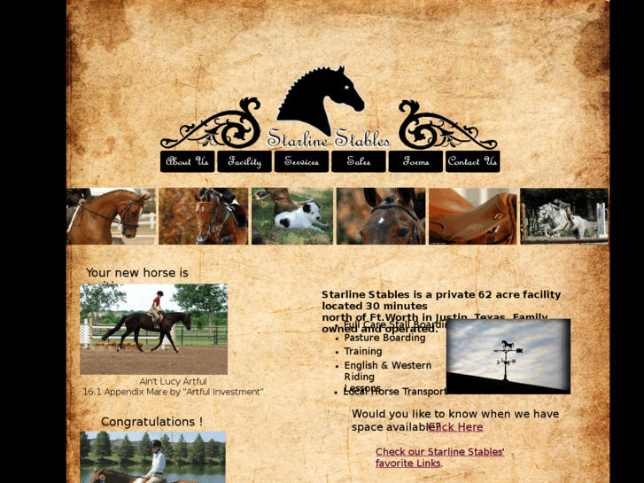 www.starlinestables.com