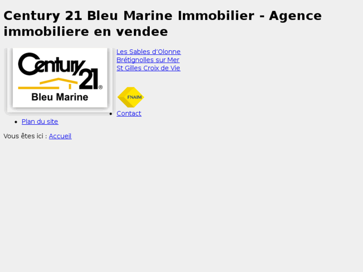 www.bleumarineimmobilier.com