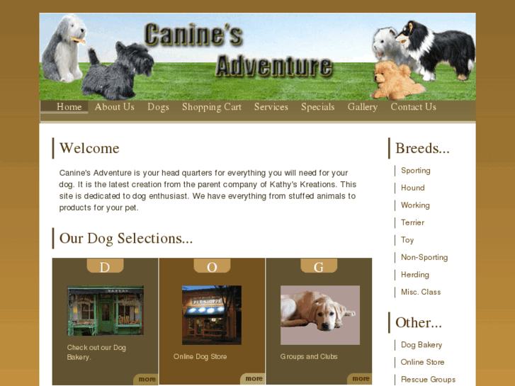 www.caninesadventure.com