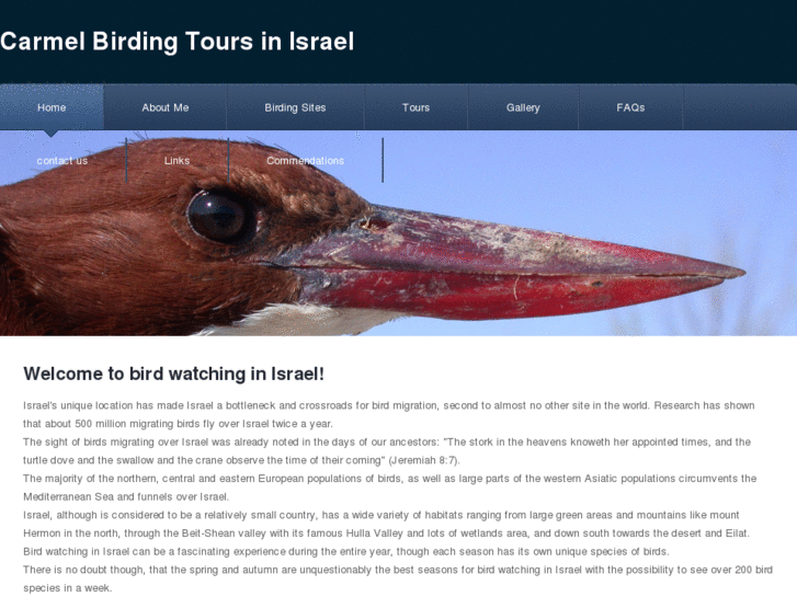 www.carmelbirdingtours.com