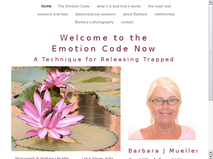 www.emotioncodenow.com