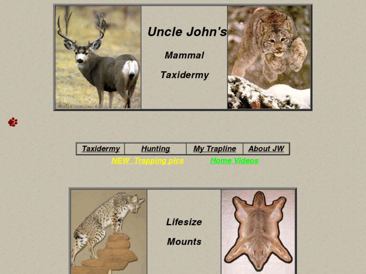 www.unclejohnstaxidermy.com
