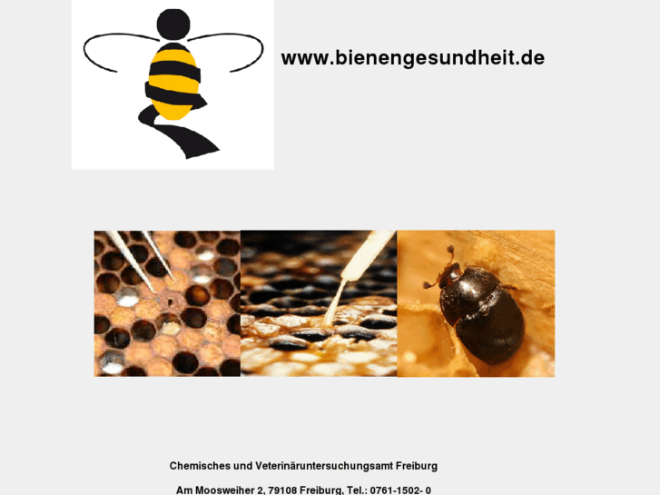 www.beehealth.info