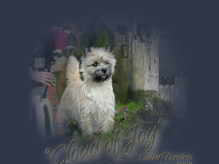 www.cloudofjoycairnterriers.com