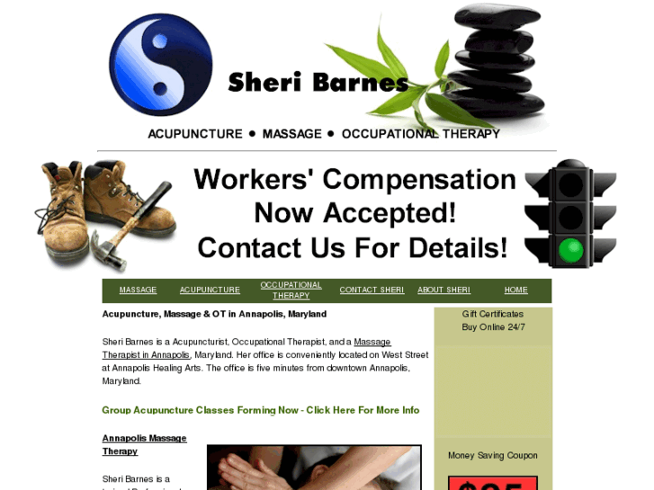 www.sheribarnes.com