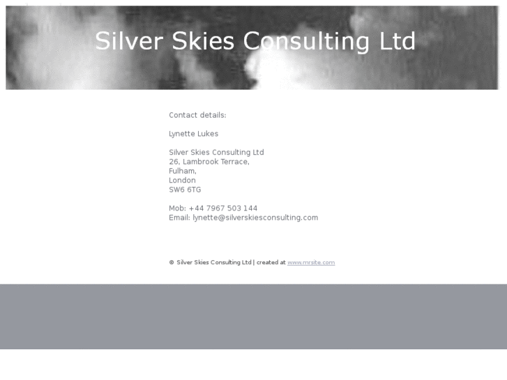 www.silverskiesconsulting.com