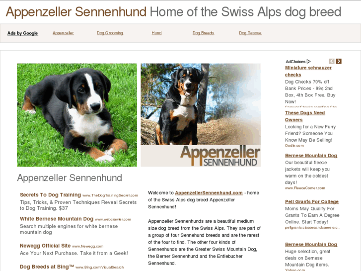 www.appenzellersennenhund.com
