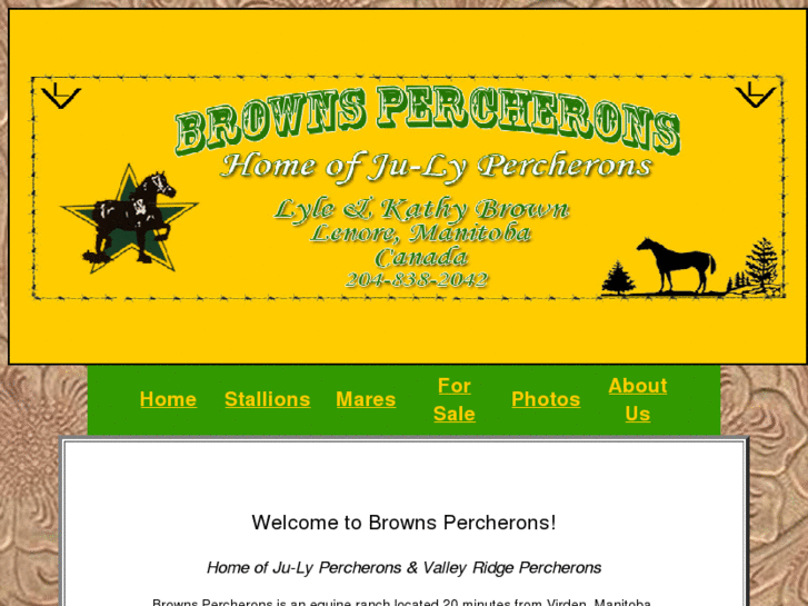 www.brownspercherons.com