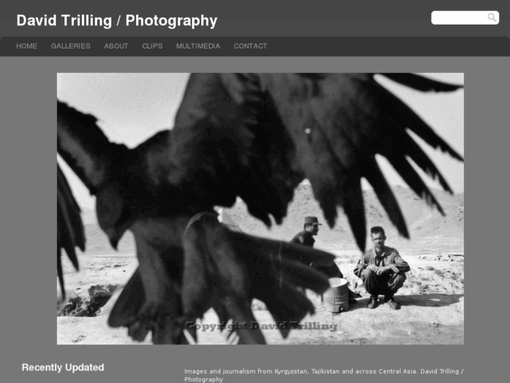 www.davidtrilling.com