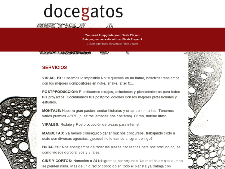 www.docegatos.com