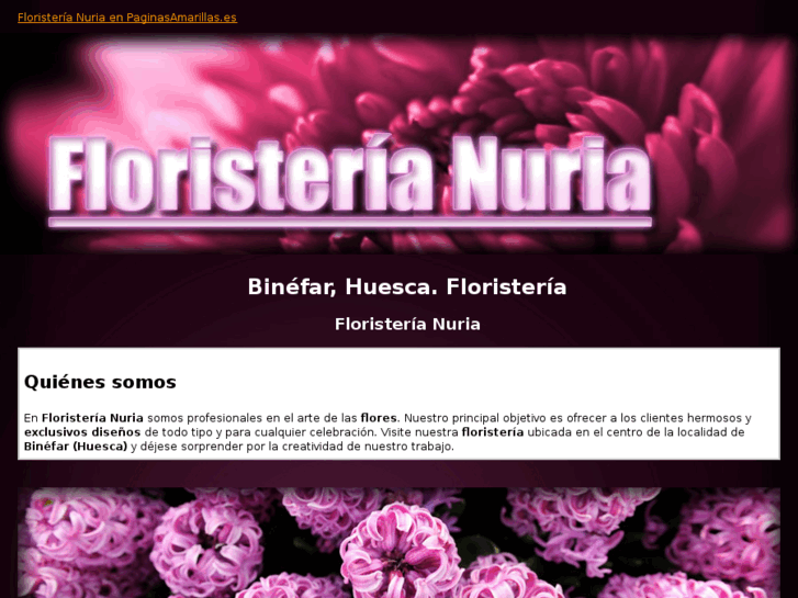 www.floristerianuria.es