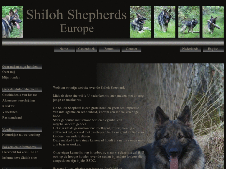 www.shilohshepherds-europe.com