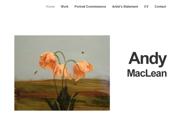 www.andymaclean.net