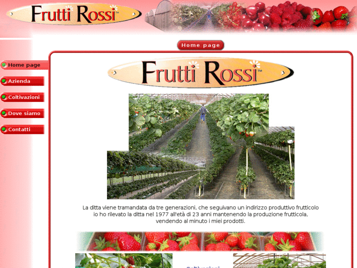 www.fruttirossi.com