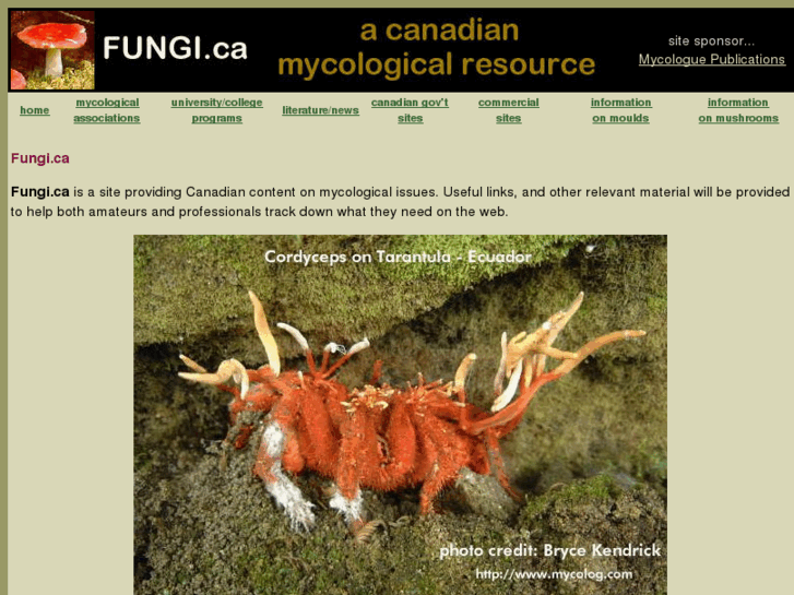 www.fungi.ca