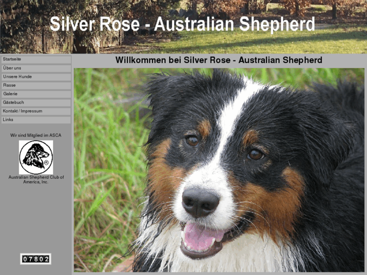 www.silverrose-aussies.de